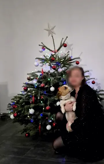 Ada, 38
